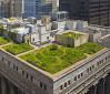 Roof of Chicago City Hall